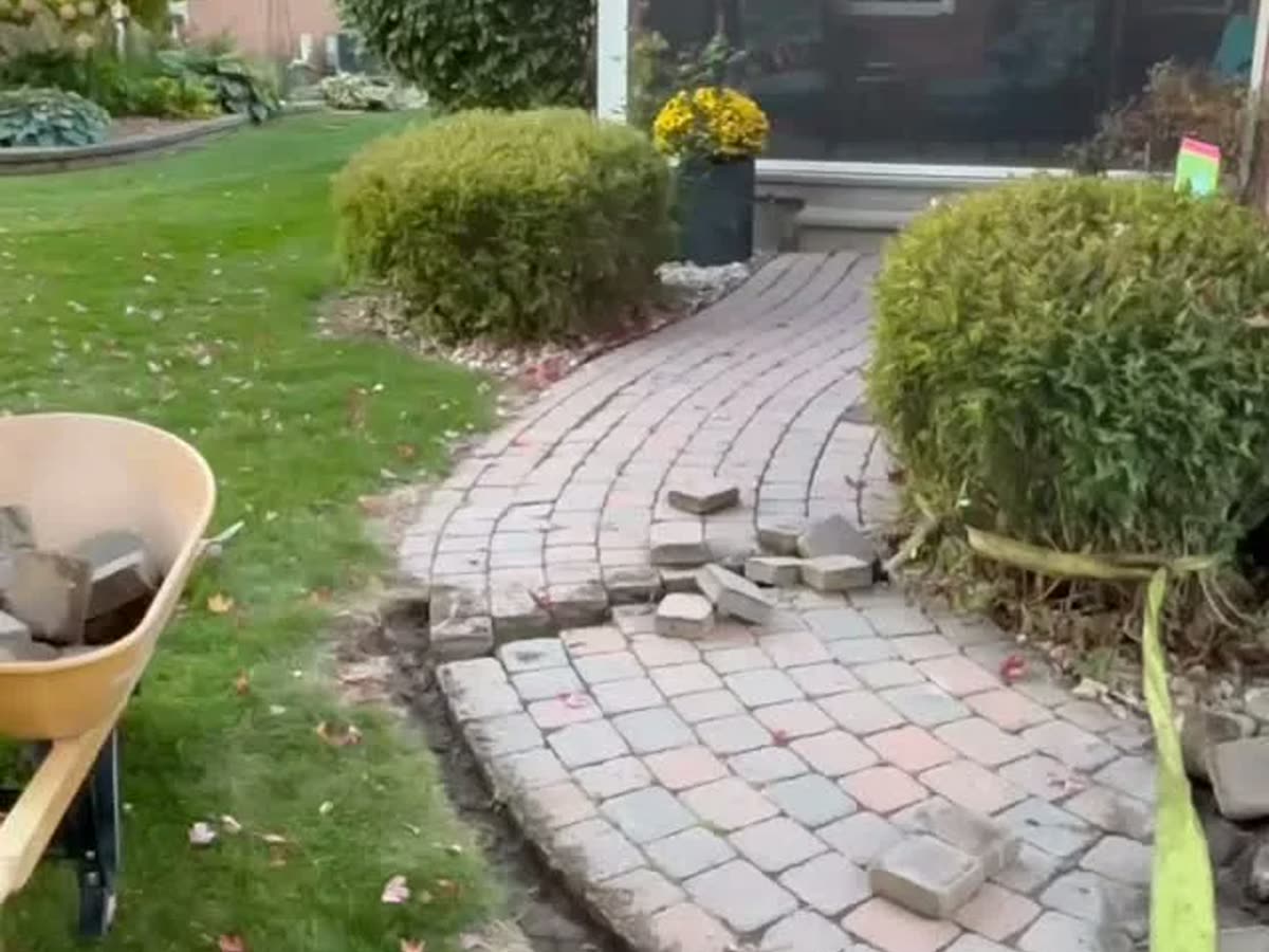 Curved interlock walkway winding through a planted garden